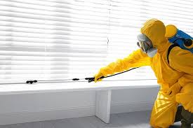 Emergency Pest Control in Fairwood, WA